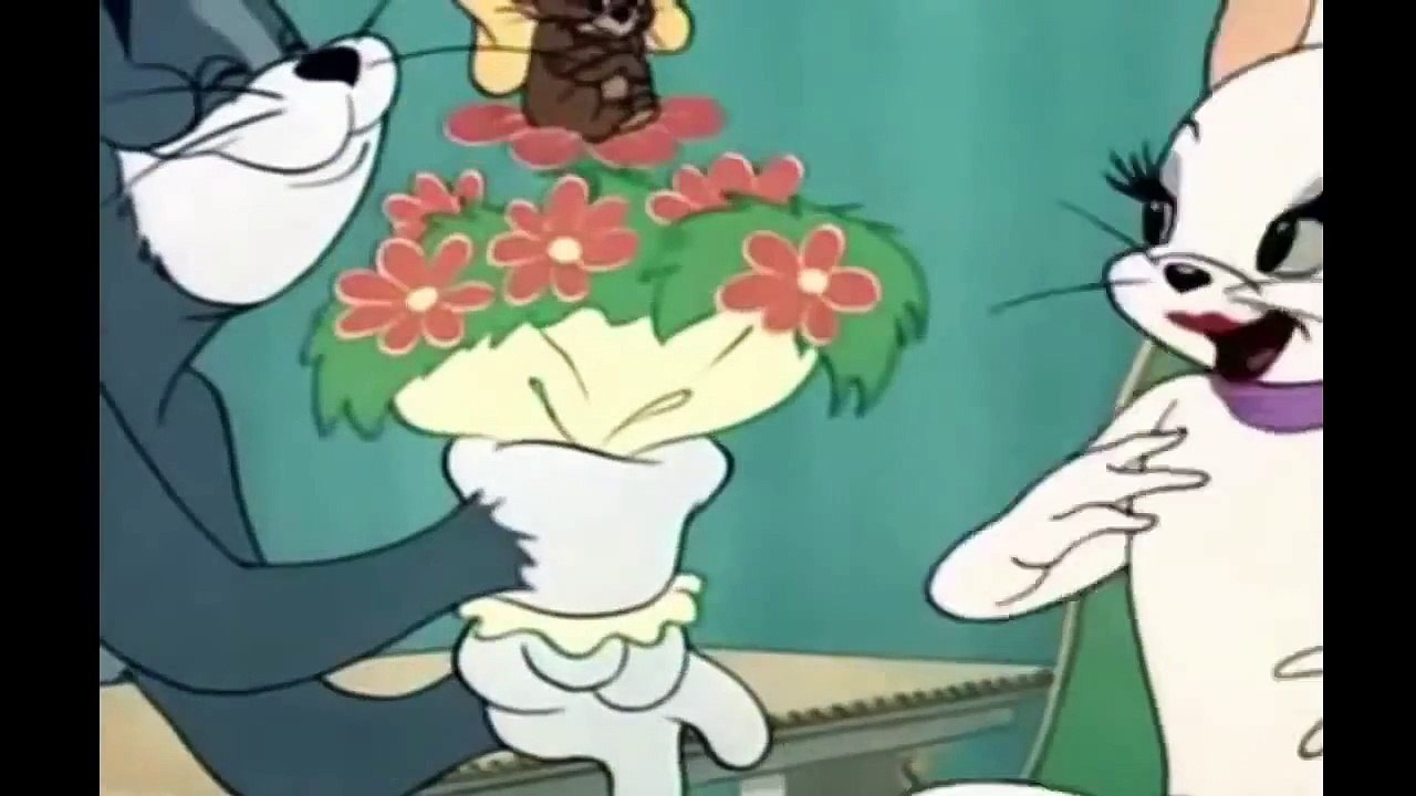 Tom and Jerry Cartoon Casanova Cat HD