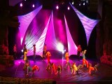 Ultimate Dance NRG Disneyland Paris 2014