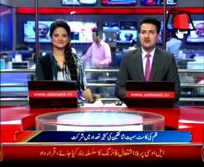Premier Show of Pakistani movie ‘Dekh Magar Pyar Se’