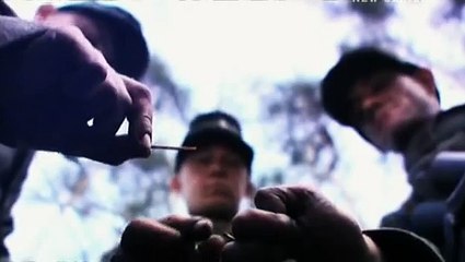 The German Wehrmacht (part 5)