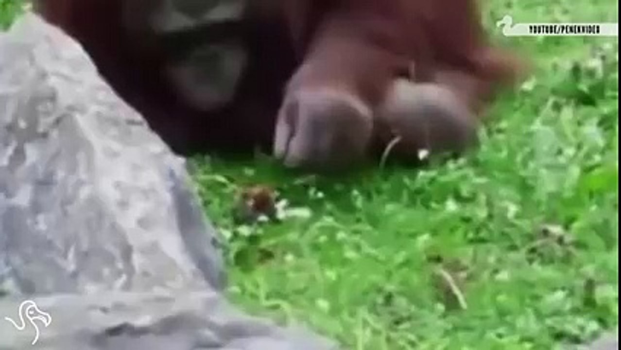 Gerçek Dostluk