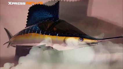 Un espadon mi sous-marin mi jet-ski à 100 000$