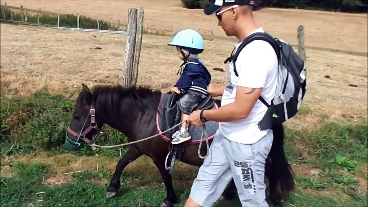 lorenzo poney