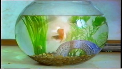 Baldy Man - Der Handwerker