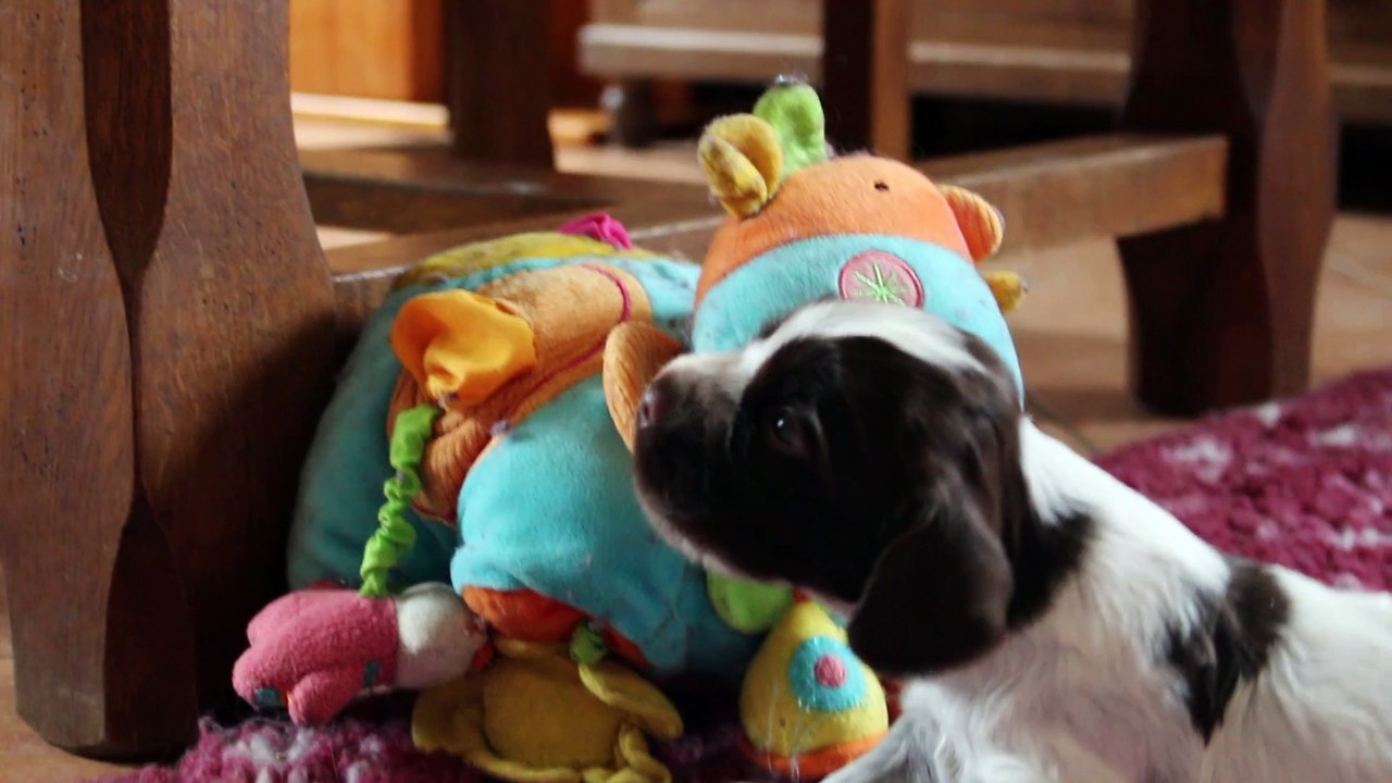 Bébé Lanvin, 3 semaines