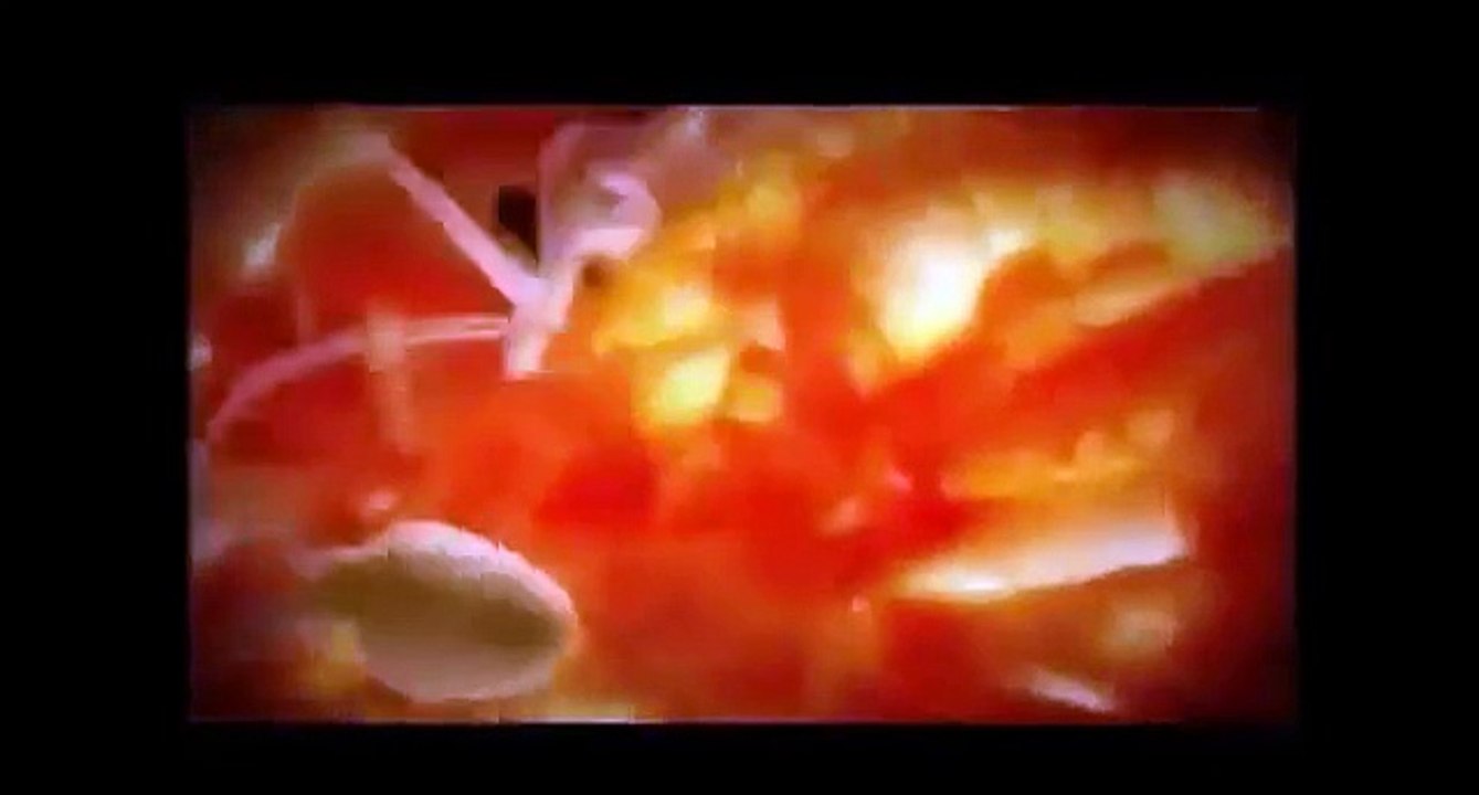 Desde la Fecundación hasta el Nacimiento