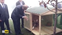 أردوغان يرمي الطيور وتحط على رأسه