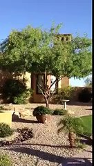 My little man playing with Auntie