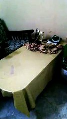 Funny a cute infant celebrating Happy independence Day