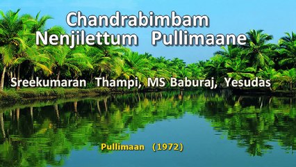 Chandrabimbham Nenjilettum Pullimane  - Malayalam Karaoke with synced lyrics