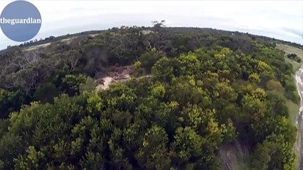 Lorsqu'un aigle chasse un drone en plein vol