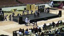 Pi Kappa Alpha: Alpha Zeta Chapter University of Arkansas 1st place at step show 2009