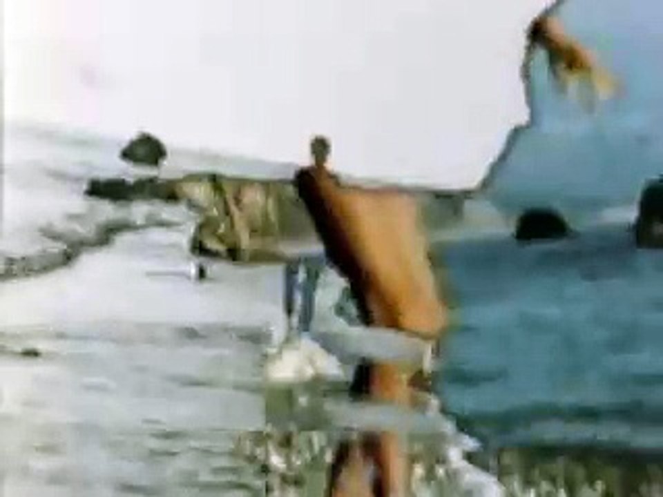 jonas mekas