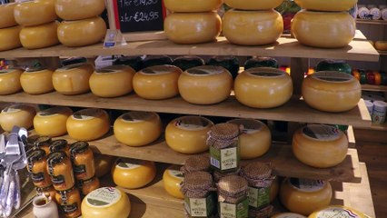 Pays-Bas : croisière en Hollande