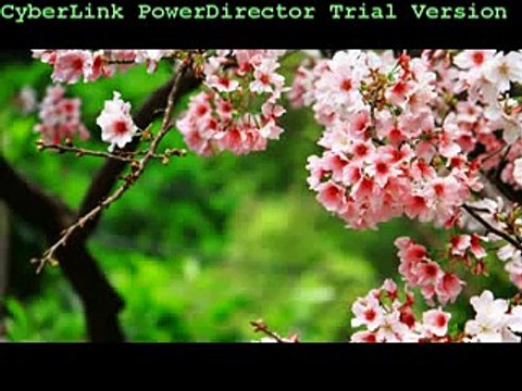 iss parcham kay saye talay hum aik hayn _ PAK ARMY ♥