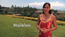 Maui Vacation Rental at Kapalua Golf Villas, Maui Hawaii