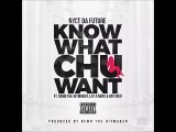 Nyce Da Future - Know What Chu Want Ft Lot-A-Nerv, Remo The Hitmaker & Kay1ner (New 2015 Cdq Dirty)