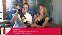 Wine Review - The Best Australian and New Zealand  Riesling - Episode 16