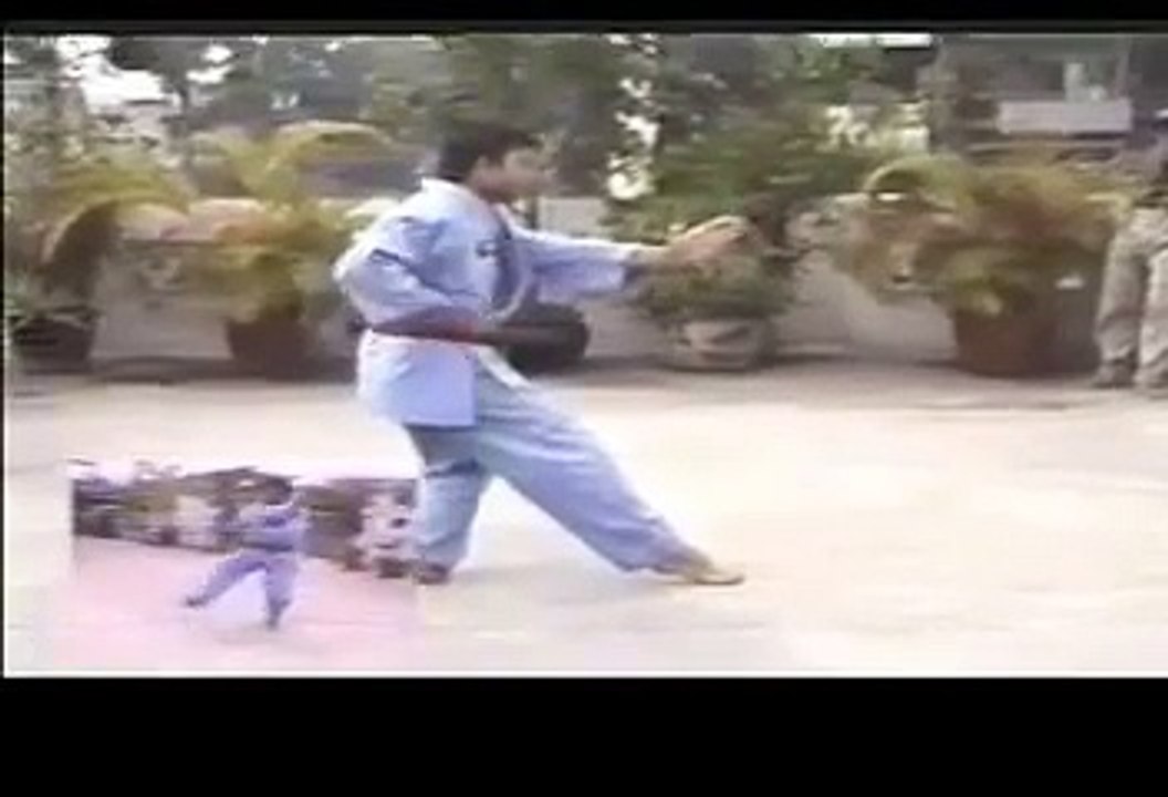 Tứ Trụ Quyền (Vovinam Việt Võ Đạo)