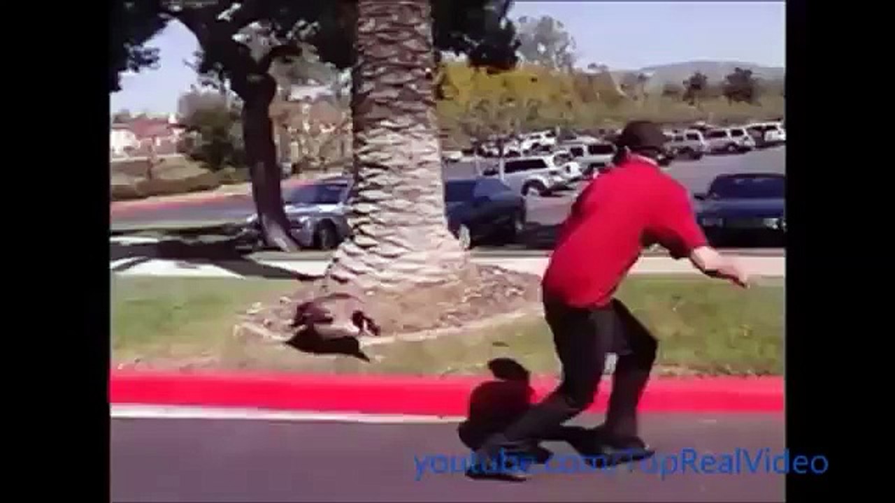 When Animal Attacks Human Compilation 2015HD ll PART 1