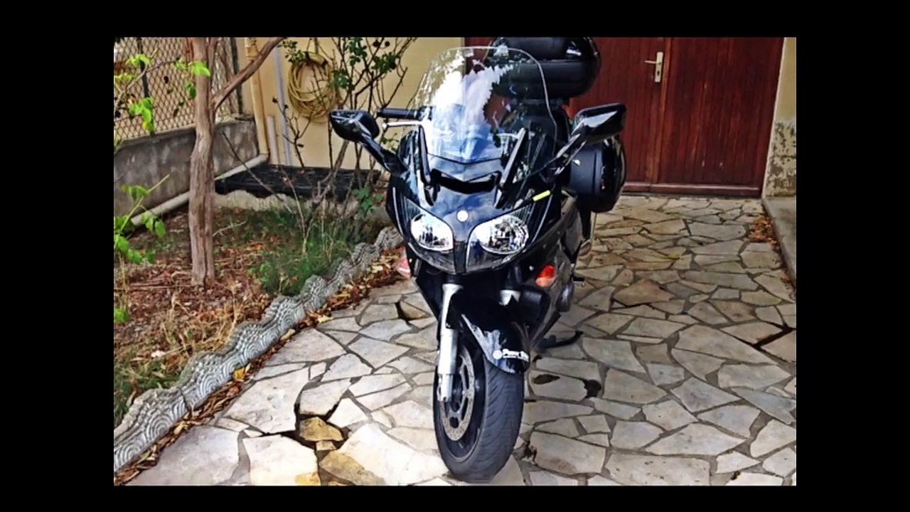 C'est Chat Moto
