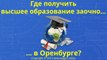 Высшее образование заочно в Оренбурге