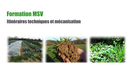 Formation MSV Itinéraires techniques et mécanisation Jour 2 Bilan de travail de groupe : Itinéraire de passage d'une prairie à une terre maraîchère