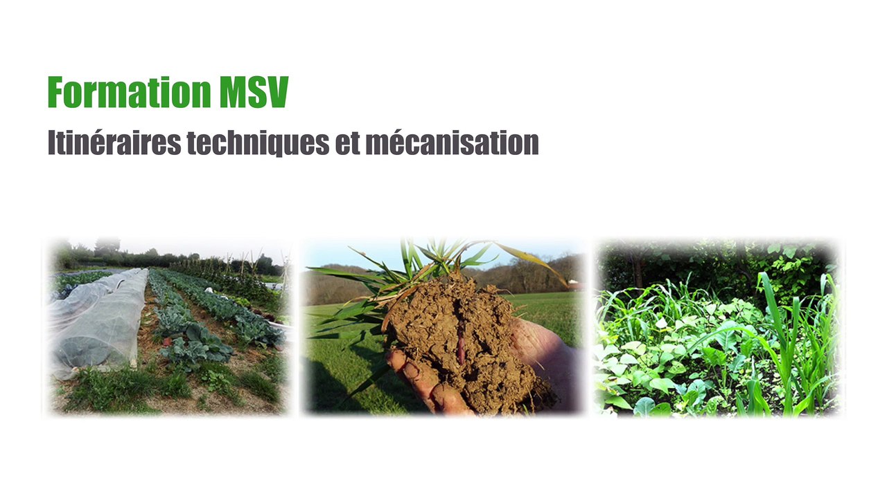 Formation MSV Itinéraires techniques et mécanisation Jour 2 Bilan de travail de groupe : Itinéraire de passage d'une prairie à une terre maraîchère