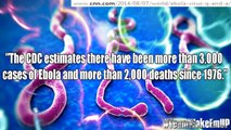 Chris Brown Makes Sense With Ebola Population Control Conspiracy Theory (Redsilverj)