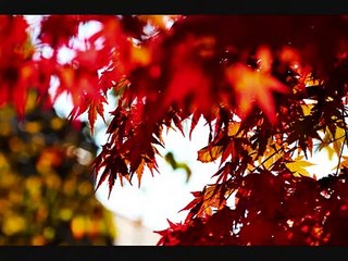 ธรรมฟังสบายๆ โดย ฐิตินาถ  ณ พัทลุง 1/6