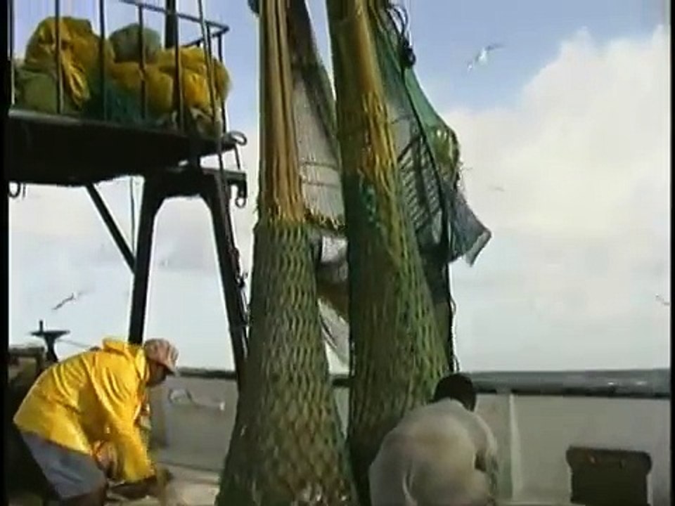 How Does A Shrimp Boat Work?