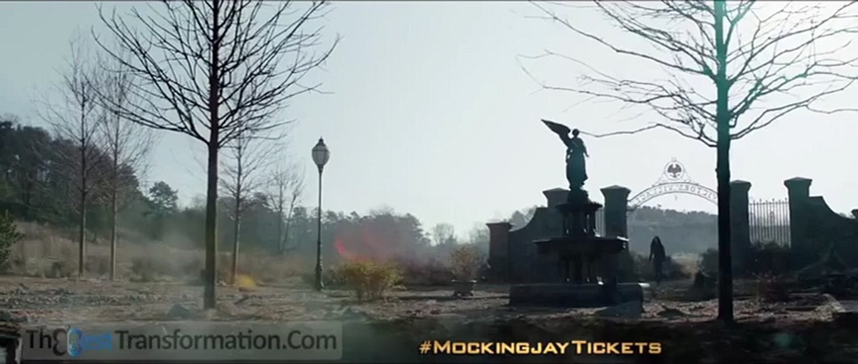 This is too funny. Vegan Parody of The Hunger Games Mockingjay Part 1 “Return to District 12”