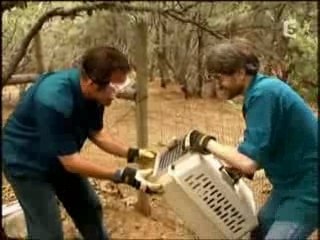 le goût et les odeurs part2-3