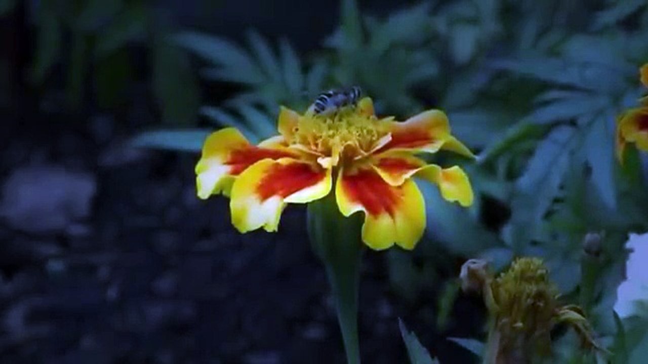 How Paper is Made | China Uncensored