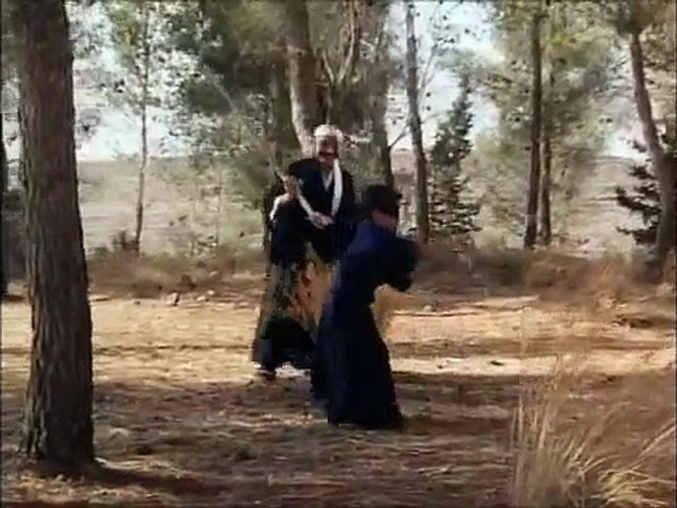 The Samurai's Sixth Sense ( Martial Arts Training Scene )