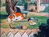 Classic Cartoon Classic Max Fleischer Cartoons Play Safe