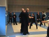 Corsi di TaijiQuan Roma - M° George Xu: Se il corpo va indietro l'Intenzione e il Qi vanno avanti!