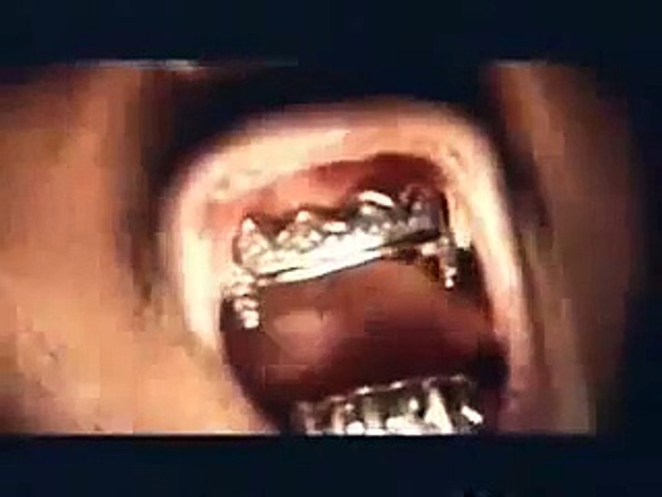 Ol  Dirty Bastard - Brooklyn Zoo Proper+Lyrics