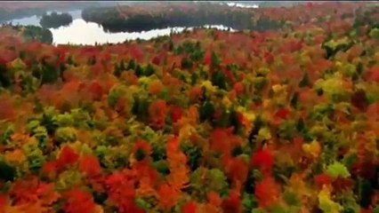 Spring summer winter and fall - Aphrodite's Child