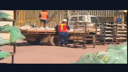 Discover the Latest Breakthroughs in Engineering & Science 🚀