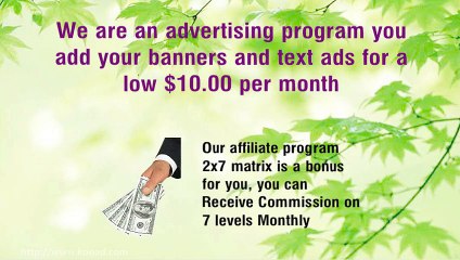 Banner and Text Advertising For You