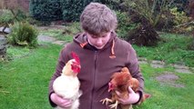 Tobias rettet Hühner vor dem Suppentopf