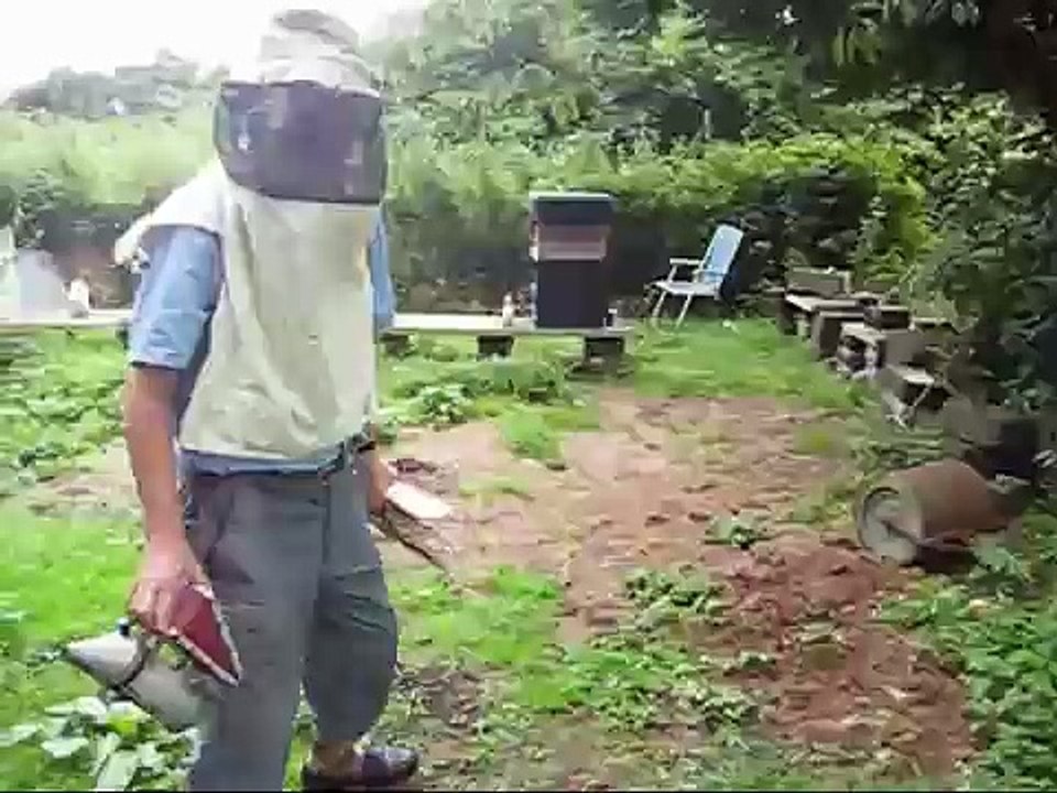 Beekeeping With The Wilsons