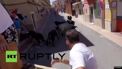 Deux hommes blessés par des taureaux - Blanca - Espagne