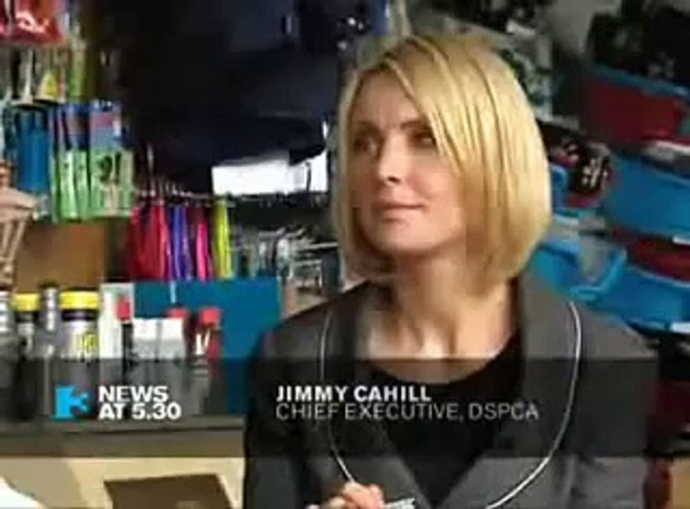 TV3 News 15.07.10 - Cat Crisis