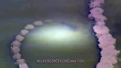 Dolphins Trick Fish With Mud "Nets"