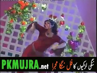 Hina Shaheen Punjabi Hit Mujra  HD