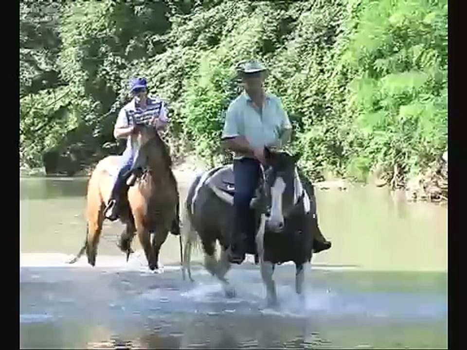 Benevento: escursioni e avventure a cavallo