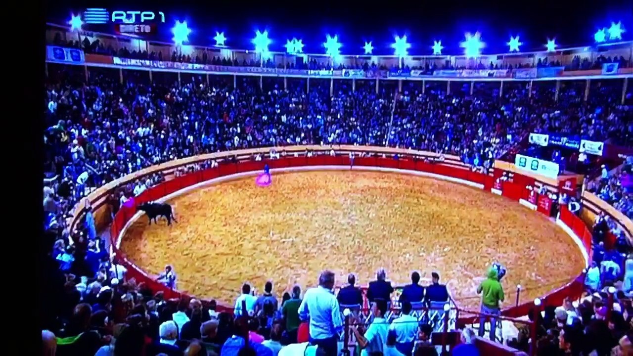 14.8.2015 cavalo colhido tourada abiul