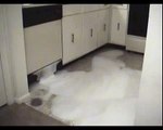Don't put dishwashing liquid in the dishwasher